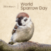 World sparrow day