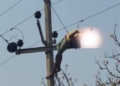 Man Electrocuted