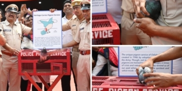 Odisha Police pigeon service