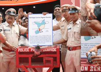 Odisha Police Pigeon Service