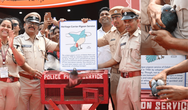 Odisha Police Pigeon Service