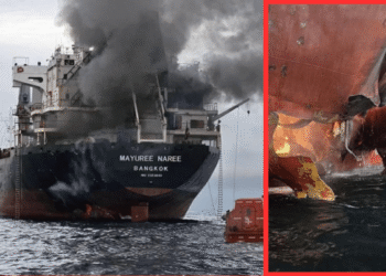 Thai cargo ship hit Strait of Hormuz