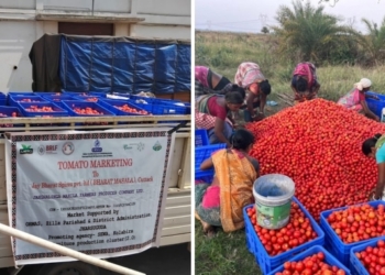 ORMAS Bharat Masala market access