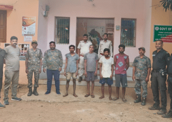 sambar deer poaching similipal