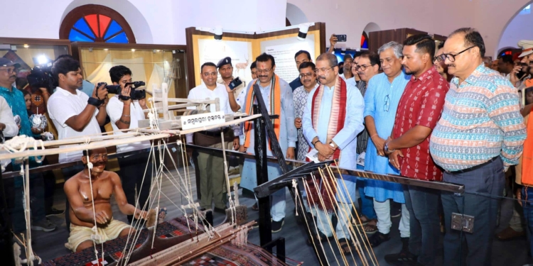 Veer Surendra Sai Museum