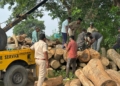 Odisha Vigilance sawmill raid