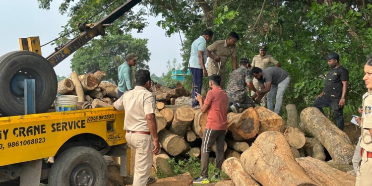 Odisha Vigilance sawmill raid