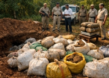 Cannabis haul in Gajapati