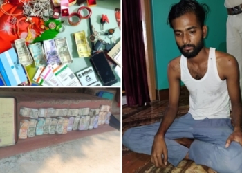 Cattle Mafia Crackdown