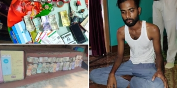 Cattle Mafia Crackdown