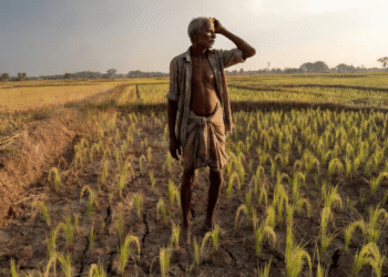 Farmers on Edge as IMD Forecasts Below-Normal 2026 Monsoon: 92% Rainfall Likely