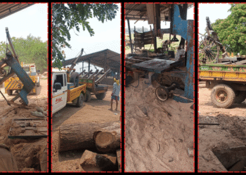 illegal sawmills raid Bhubaneswar