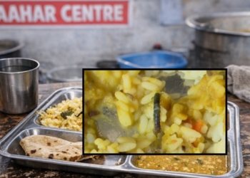 Scorpion Found in Meal