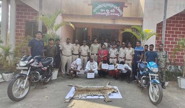 Leopard Skin Seizure