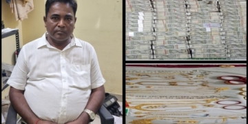 OPHWC Deputy Manager