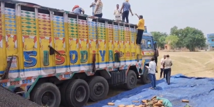 Kandhamal ganja seizure