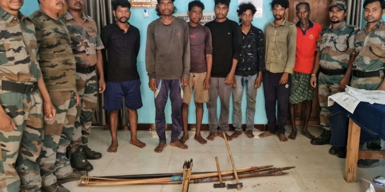 Wild Boar Meat Seized