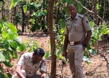 Bolangir forest body recovery