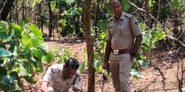 Bolangir forest body recovery