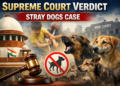 Stray Dogs Supreme Court Hearing