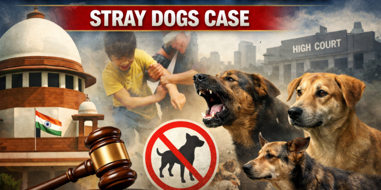 Stray Dogs Supreme Court Hearing