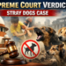 Stray Dogs Supreme Court Hearing