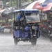 Monsoon