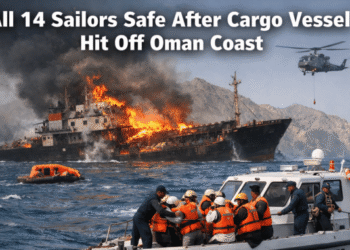 Gujarat cargo ship drone attack