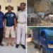 Illegal Cattle Transport