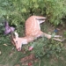 Deer smuggling in Balasore