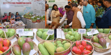 Odisha mango varieties export