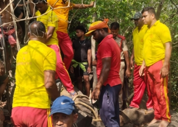 Odisha boy rescued from rock cave