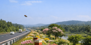 Odisha bee corridor biodiversity