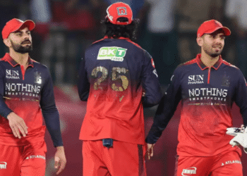 RCB qualify for IPL 2026 playoffs
