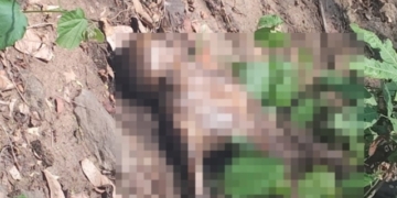 Missing Youth Found Dead