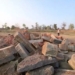 Telangana temple demolition