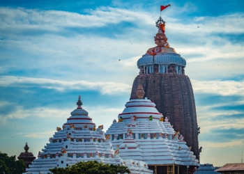 Srimandir Hasti Dwar brass door