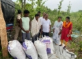 STF Seizes 101 Kg Ganja in Bhubaneswar, Two Arrested