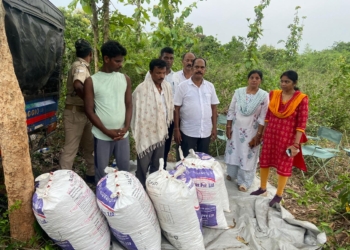 STF Seizes 101 Kg Ganja in Bhubaneswar, Two Arrested