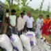 STF Seizes 101 Kg Ganja in Bhubaneswar, Two Arrested