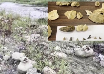 Fossils