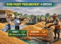 Rabi paddy procurement extension