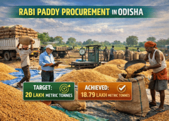 Rabi paddy procurement extension