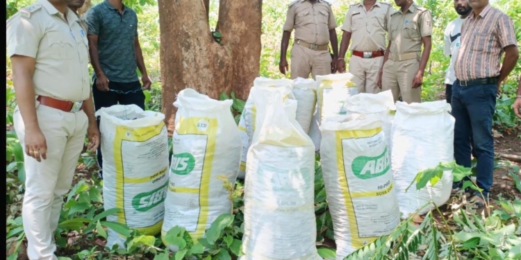 Ganja smuggling