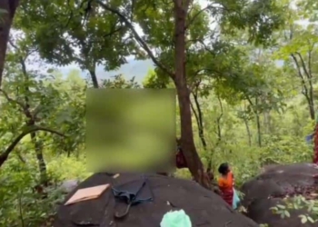 Human Skull and Skeleton Found