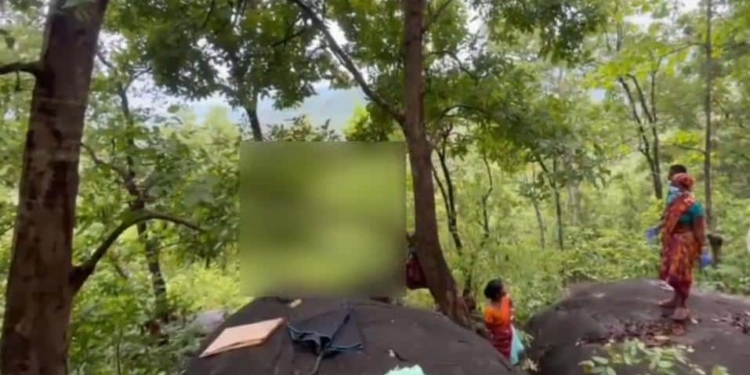 Human Skull and Skeleton Found
