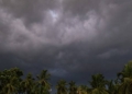 Odisha