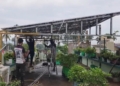Solar Power Pays Off: Nearly 3K Ganjam Consumers Enjoy Zero Electricity Bills