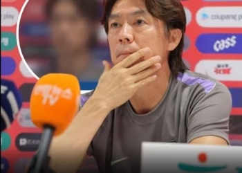 South Korea Coach