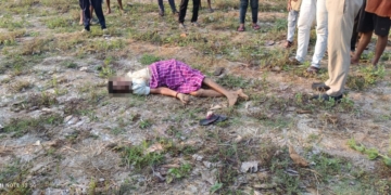 Elephant Attack in Sambalpur